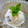 ＪＵＡＮＮ's cooksnap of when they made 卵不使用✿ミントアイス✿.