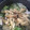ﾌﾞﾚﾝﾀﾞ's cooksnap of when they made 油揚げの保存.