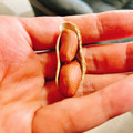 yummysunny's cooksnap of when they made 簡単 落花生のむき方.