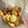 Amerixx's cooksnap of when they made 簡単サクサク☆ハートの絞り出しクッキー.