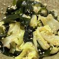 クックM6DK2O☆'s cooksnap of when they made 簡単！春キャベツとワカメの海苔ポンサラダ.