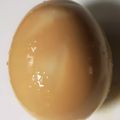 モジャ時々ツルツル's cooksnap of when they made 簡単♡味玉♡.