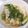 ぜんだいママ's cooksnap of when they made しらすとキャベツの和風パスタ.