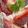 ☆かがりんりん☆'s cooksnap of when they made レモンとチーズのパン2.