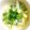 クックGB6431☆'s cooksnap of when they made キャベツ・茹で卵・大葉のマヨネーズ和え♪.