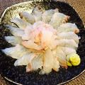 クックQYW992☆'s cooksnap of when they made 寒メジナの刺身.