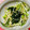 muumi☆'s cooksnap of when they made 水菜とわかめのおかかナムル【作り置き】.
