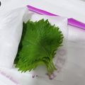 faling_'s cooksnap of when they made 大葉、ﾍﾞﾋﾞｰﾘｰﾌなど葉物の長期保存.