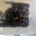 ともっっぺ's cooksnap of when they made 毎日食べたい発酵食品★手作り黒豆納豆.