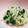 ekokan's cooksnap of when they made もやしとほうれん草の簡単ナムル.