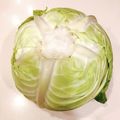 クックEBXFTK☆'s cooksnap of when they made キャベツ　長く保存する方法.
