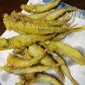 クック7FNN0F☆'s cooksnap of when they made 干しシシャモの天麩羅.