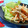 ピンクのたまご's cooksnap of when they made にんじんとごぼうの胡麻サラダ.