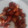 mikyuzo's cooksnap of when they made ＊なんこつのから揚げ＊.