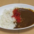 きらり流れ星's cooksnap of when they made 簡単！ミキサーと野菜ジュースで時短カレー.