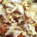 ゆか☆猫's cooksnap of when they made さつま揚げと春キャベツのさっと煮。.