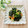 runa10's cooksnap of when they made ほうれん草とチクワ海苔炒め.