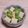 アクセル☆'s cooksnap of when they made ◎お弁当スピードおかず◎枝豆あえてマヨ2.
