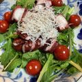 それいゆ★'s cooksnap of when they made タコのカルパッチョ♩シラスかけ.