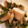 はにーくろーばー's cooksnap of when they made 舞茸ダイエット！舞茸と鶏もものソテー.