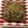 クック78R779☆'s cooksnap of when they made 超簡単！厚揚げの揚げ出し豆腐風.