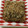 クック78R779☆'s cooksnap of when they made 超簡単！厚揚げの揚げ出し豆腐風.