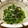 クック5NOFPV☆'s cooksnap of when they made レンジで簡単一品！ほうれん草のしらす和え.