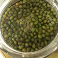 Karikari苺's cooksnap of when they made 実山椒醤油～あると便利です。自家製調味料.