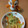 かりんこにゃんくん's cooksnap of when they made 簡単☆塩焼きそば.