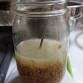 ぱりぱりっこ's cooksnap of when they made 玄米麹　de　塩麹作り.