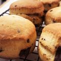 ちょこふみ's cooksnap of when they made 再現♡スタバ風バターミルクビスケット！.