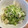 うさまる．'s cooksnap of when they made つるん♪鶏ときゅうりの柚子胡椒和え.