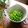 haruku221's cooksnap of when they made ほんのり塩味で艷やかなグリンピース茹で方.