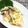 horseland's cooksnap of when they made 簡単☆アスパラと卵サラダ.