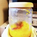 とまっしゅ's cooksnap of when they made あると便利なパプリカの酢漬け.