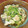 クックVOY1Q3☆'s cooksnap of when they made 簡単！豚肉と豆苗のオイスターソース炒め.