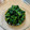yuka119's cooksnap of when they made 基本のほうれん草のおひたし.