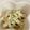 ゆっくん1129's cooksnap of when they made ごぼうのクリームチーズ和え.