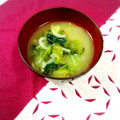 ふうはっちゃん's cooksnap of when they made 速攻完成！小松菜ともやしのお味噌汁.