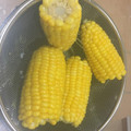 ♡よりより♡'s cooksnap of when they made 炊飯器で☆とうもろこしが甘くなる茹で方.