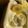 ぷちりな's cooksnap of when they made シンプルなミルクプリン.