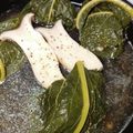 フッカー。's cooksnap of when they made 簡単！カーボロネロ(黒キャベツ)のロール.