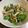 のえもゆ's cooksnap of when they made パクチーと鶏胸肉のサラダ.