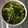 クック78R779☆'s cooksnap of when they made 京あげと青梗菜のお味噌汁.