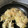 寝フク's cooksnap of when they made 長ネギ＆えのきと蒸し焼き餃子.