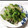 ふく31's cooksnap of when they made いんげんともやしのナムル.