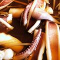 ★あいこママ★'s cooksnap of when they made 生スルメイカのサッと煮.