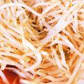seacomet's cooksnap of when they made ピリ辛もやしのナムル.