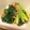 たもたん's cooksnap of when they made ダシしょう油で作るほうれん草のお浸し.