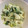 ひまわり６号's cooksnap of when they made セロリのマヨ和え.